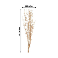 6-Pack Natural Birch Tree Branches 46" Metallic Gold - Versatile Extra Long Decorative Dried Willow Twigs Sticks for Vase Centerpiece Wedding Decor