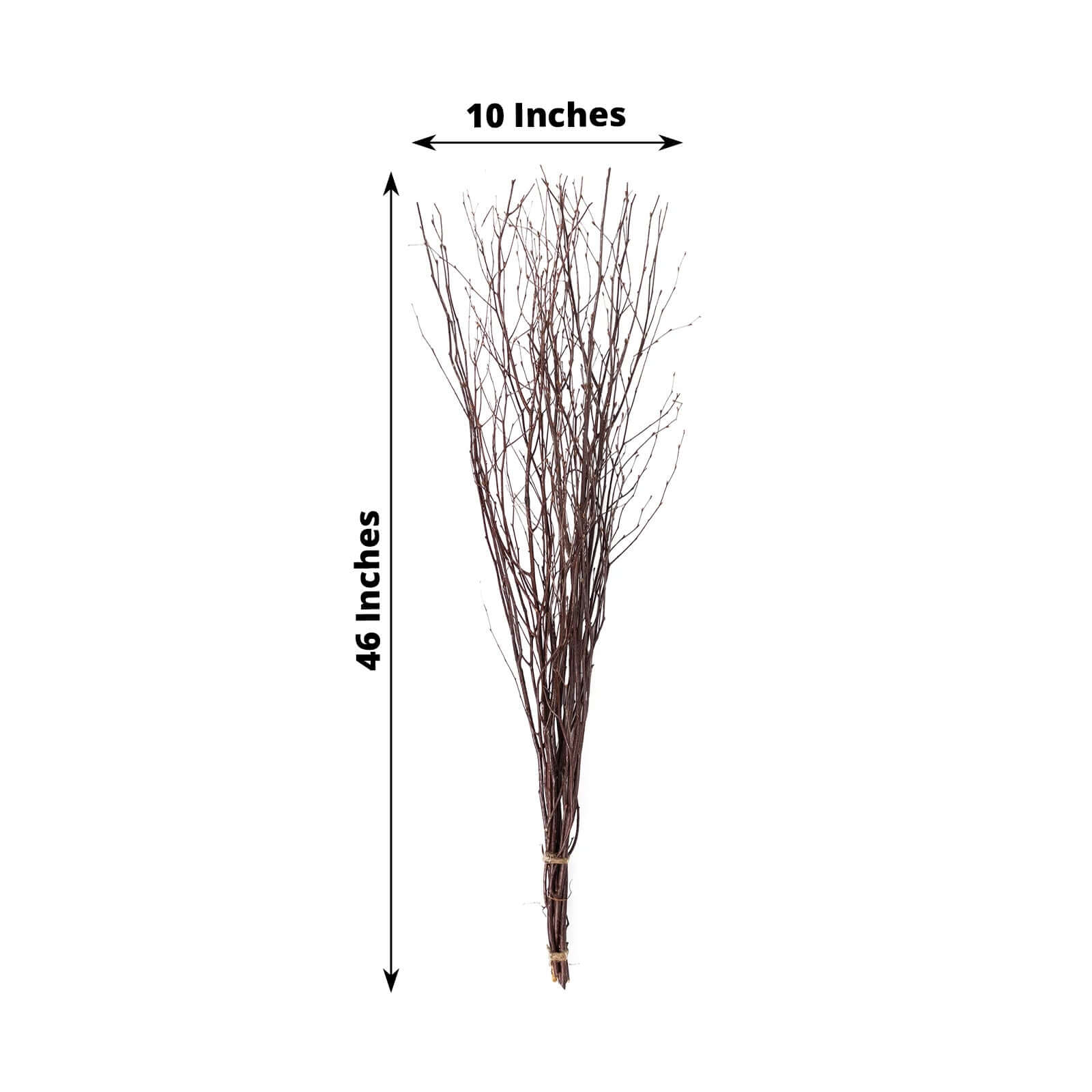 6-Pack Natural Birch Tree Branches 46" Natural - Versatile Extra Long Decorative Dried Willow Twigs Sticks for Vase Centerpiece Wedding Decor