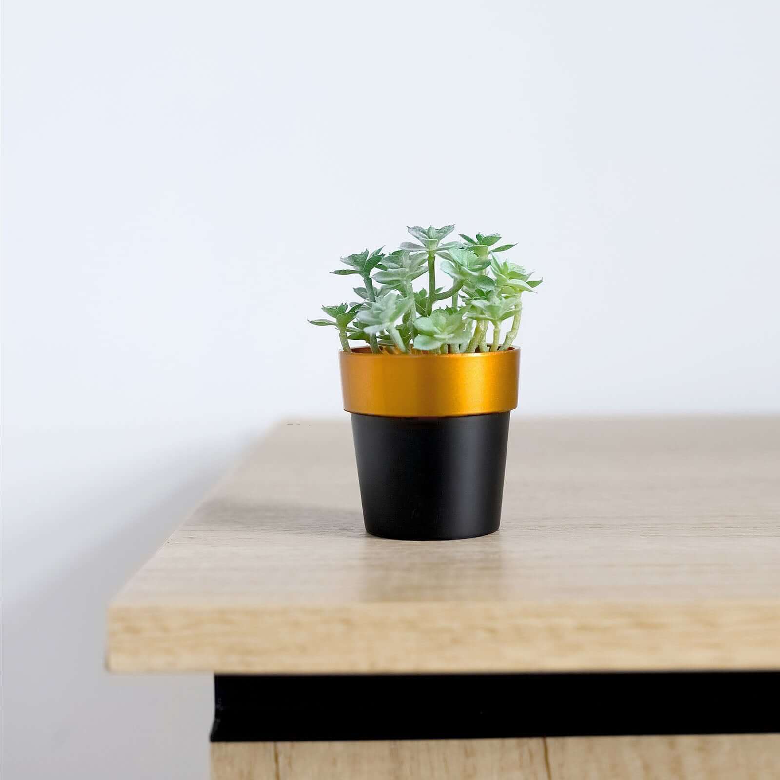 3-Pack Flower Plant Pots Small Design Black with Gold Rim - Plastic Indoor Decorative Planters 3"
