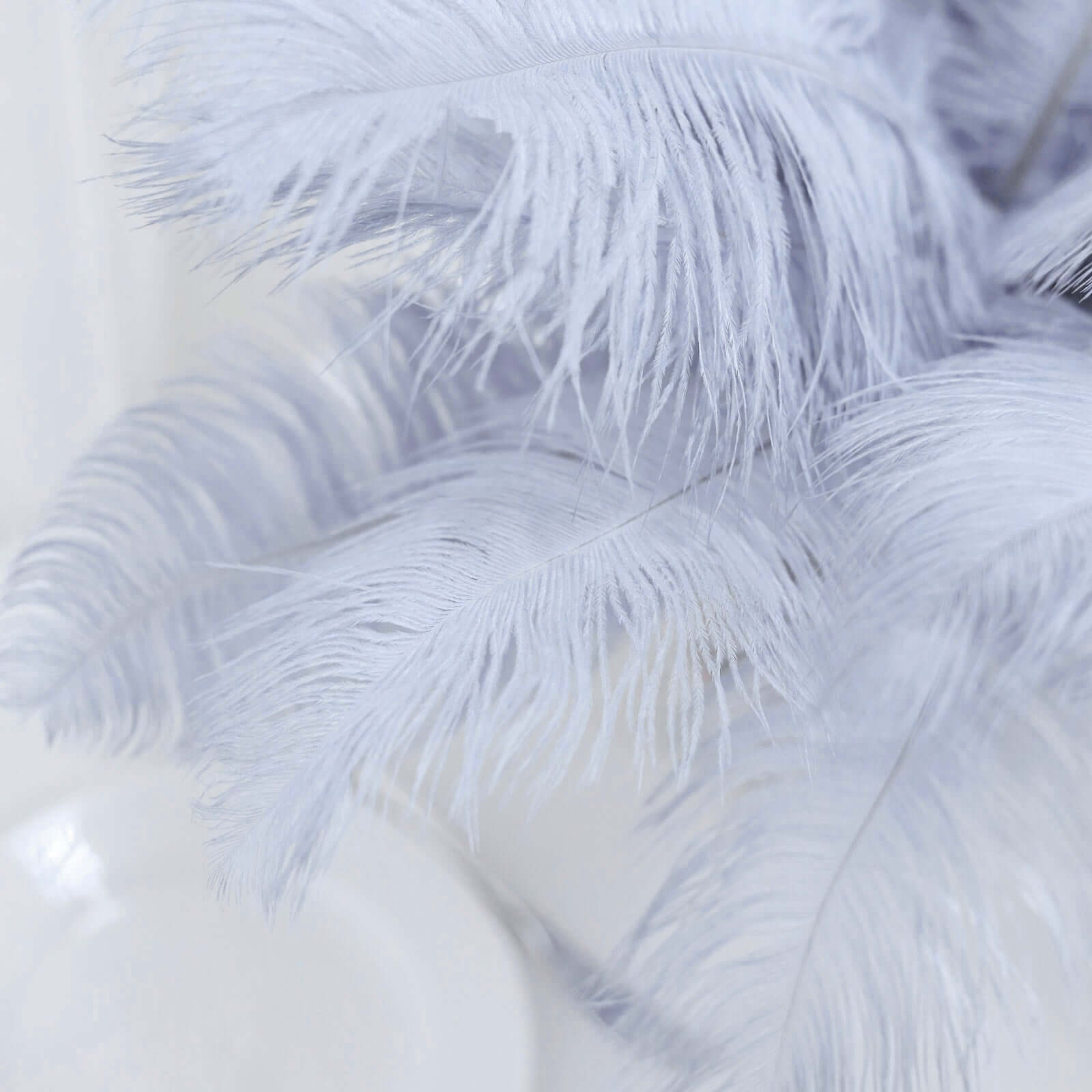 12 Pack 13"-15" Dusty Blue Natural Plume Real Ostrich Feathers, DIY Centerpiece Fillers