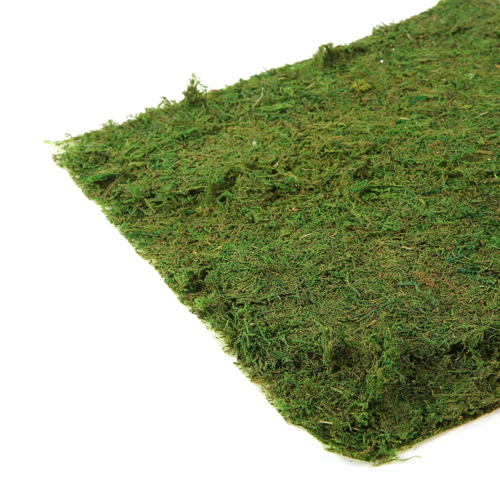 18"x16" Preserved Natural Moss Wall Sheet Roll, Moss Landscape Panel