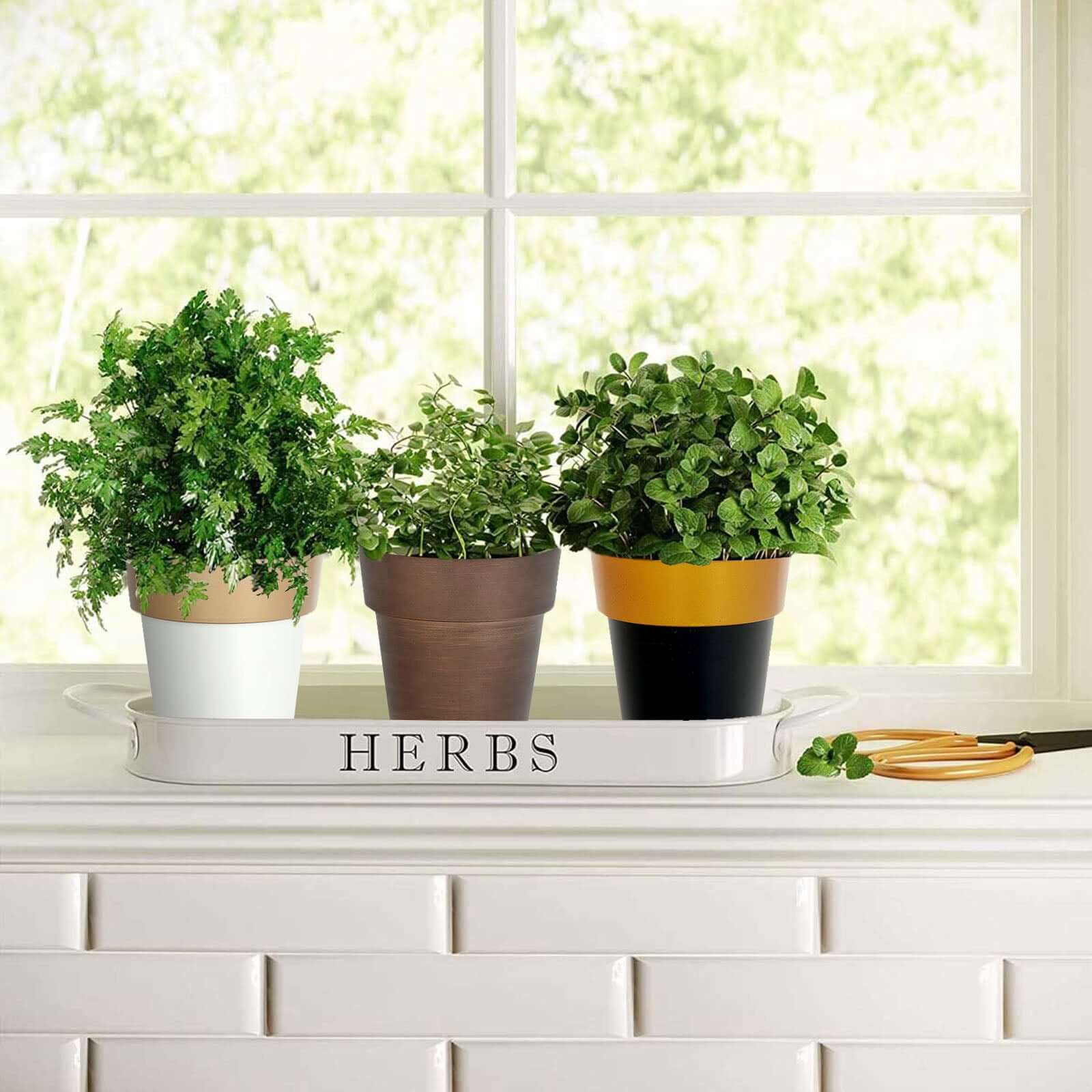 2-Pack Flower Plant Pots Medium Design White with Gold Rim - Plastic Indoor Decorative Planters 6"