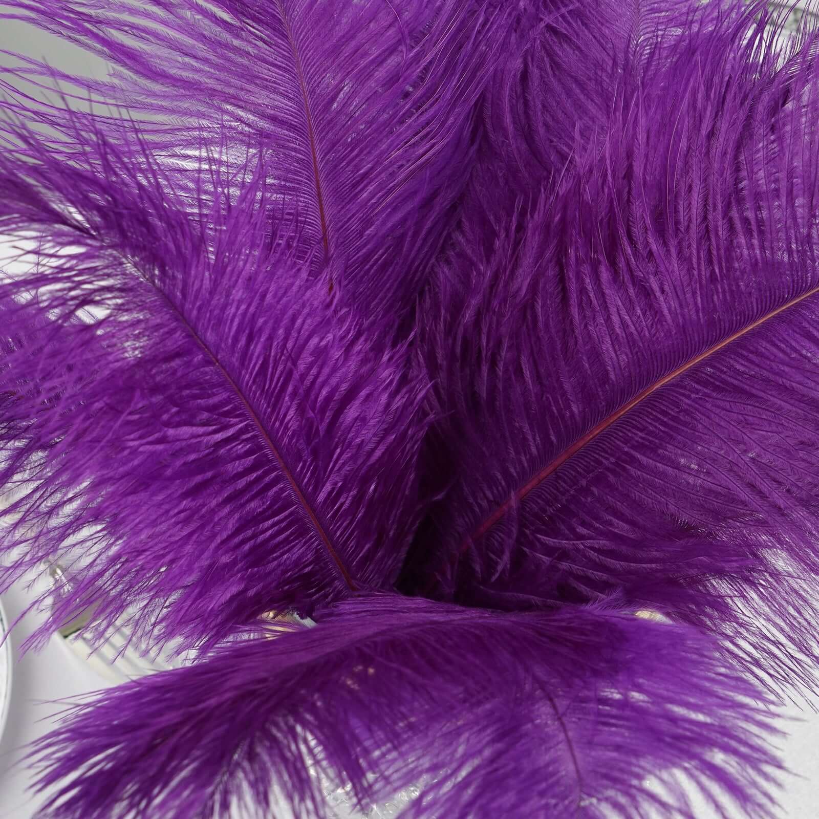 12 Pack 13"-15" Purple Natural Plume Real Ostrich Feathers, DIY Centerpiece Fillers