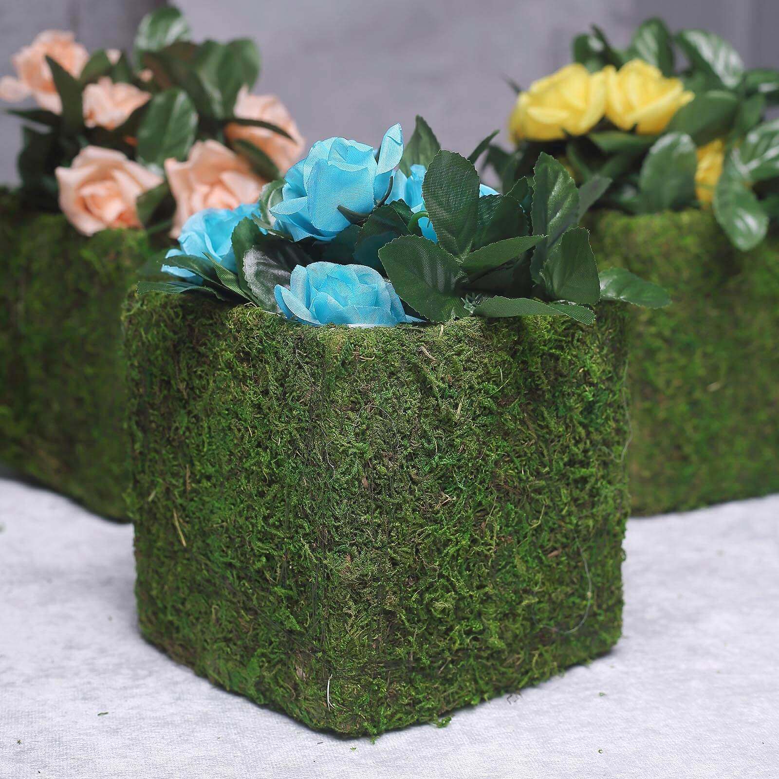 4-Pack Square Planter Boxes Covered with Inner Lining Green Preserved Moss - Flower Basket Centerpieces 6"