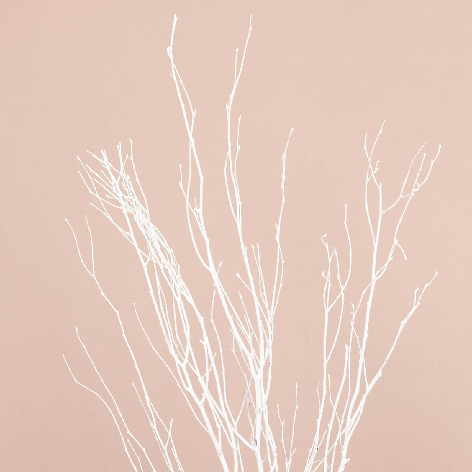 6-Pack Natural Birch Tree Branches 46" White - Versatile Extra Long Decorative Dried Willow Twigs Sticks for Vase Centerpiece Wedding Decor