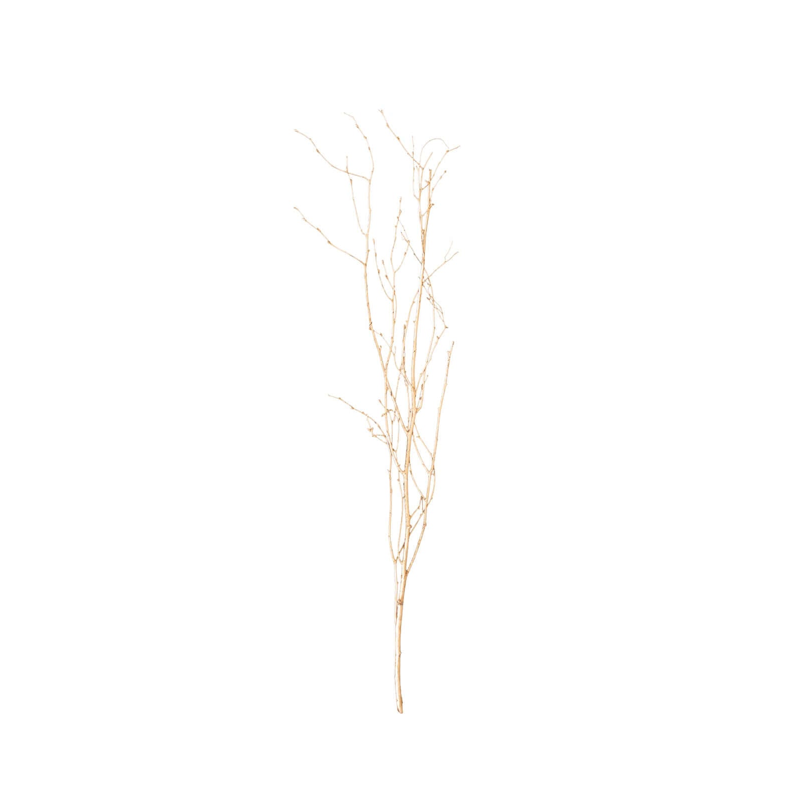 6-Pack Natural Birch Tree Branches 46" Metallic Gold - Versatile Extra Long Decorative Dried Willow Twigs Sticks for Vase Centerpiece Wedding Decor