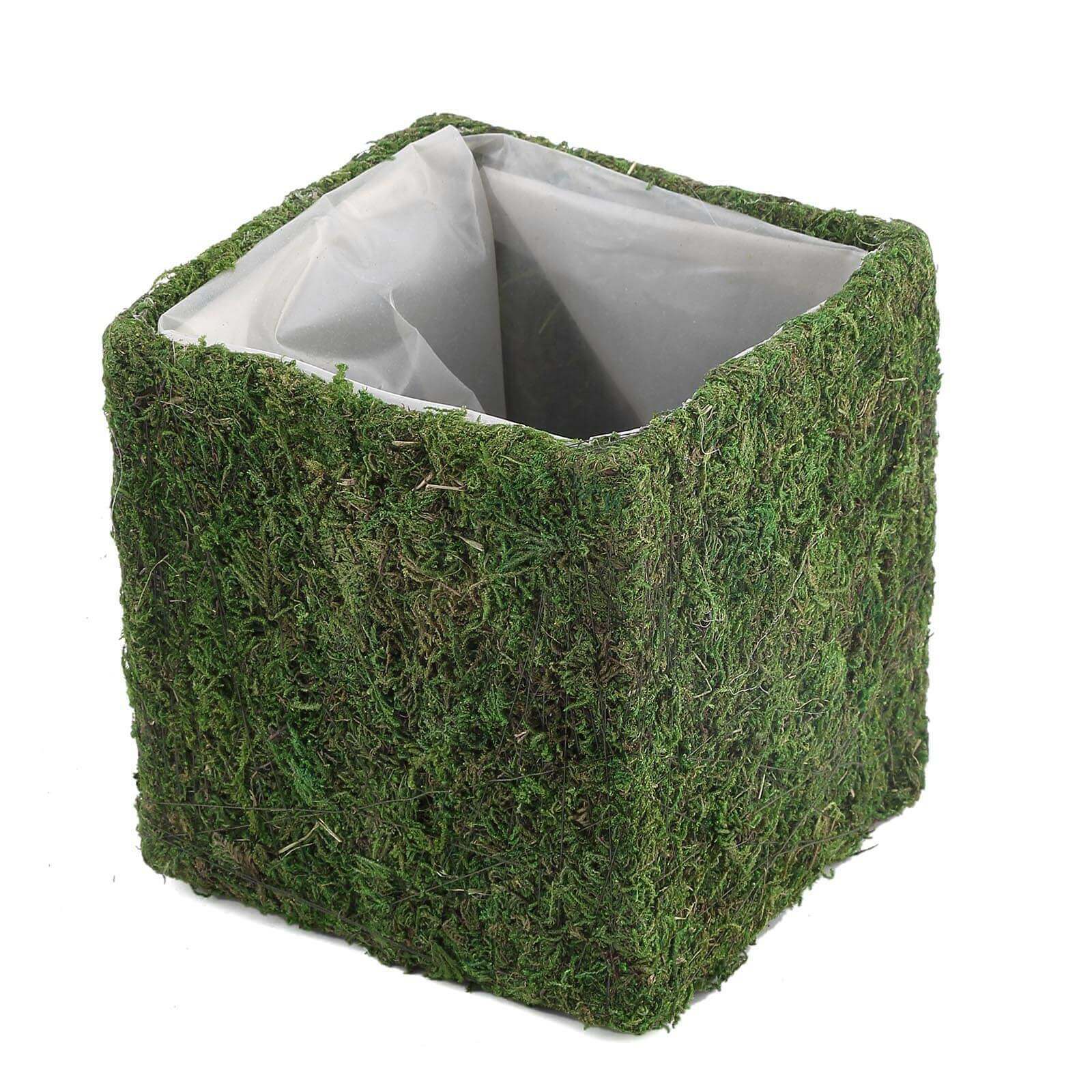 4-Pack Square Planter Boxes Covered with Inner Lining Green Preserved Moss - Flower Basket Centerpieces 6"