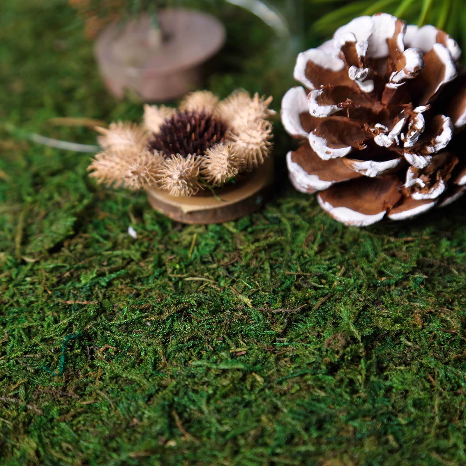 18"x16" Preserved Natural Moss Wall Sheet Roll, Moss Landscape Panel