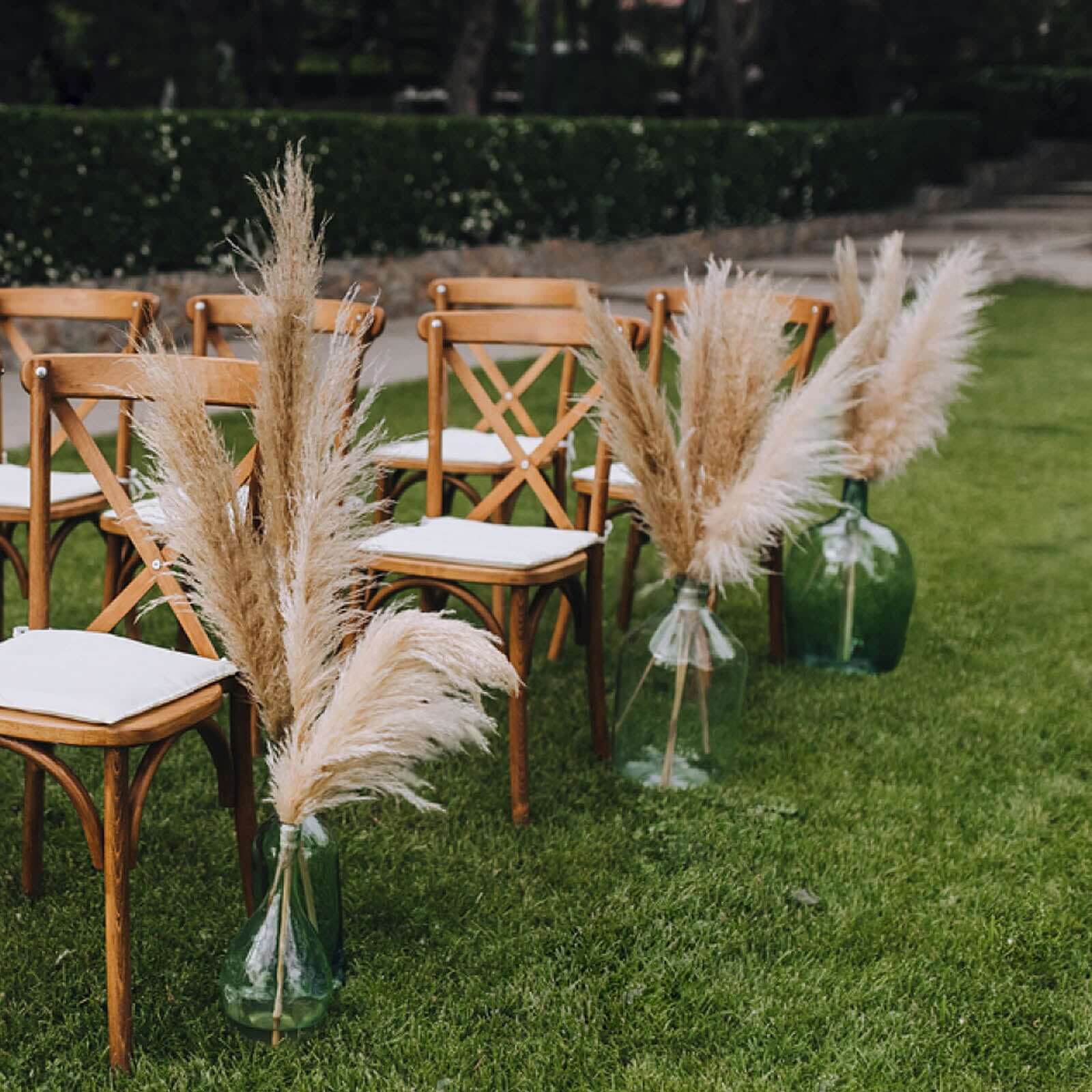 6 Stems Natural Dried Pampas Grass Decor Wheat Tint - Tall Plant Sprays for Boho Chic Vase Displays Backdrops & Event Styling 49"