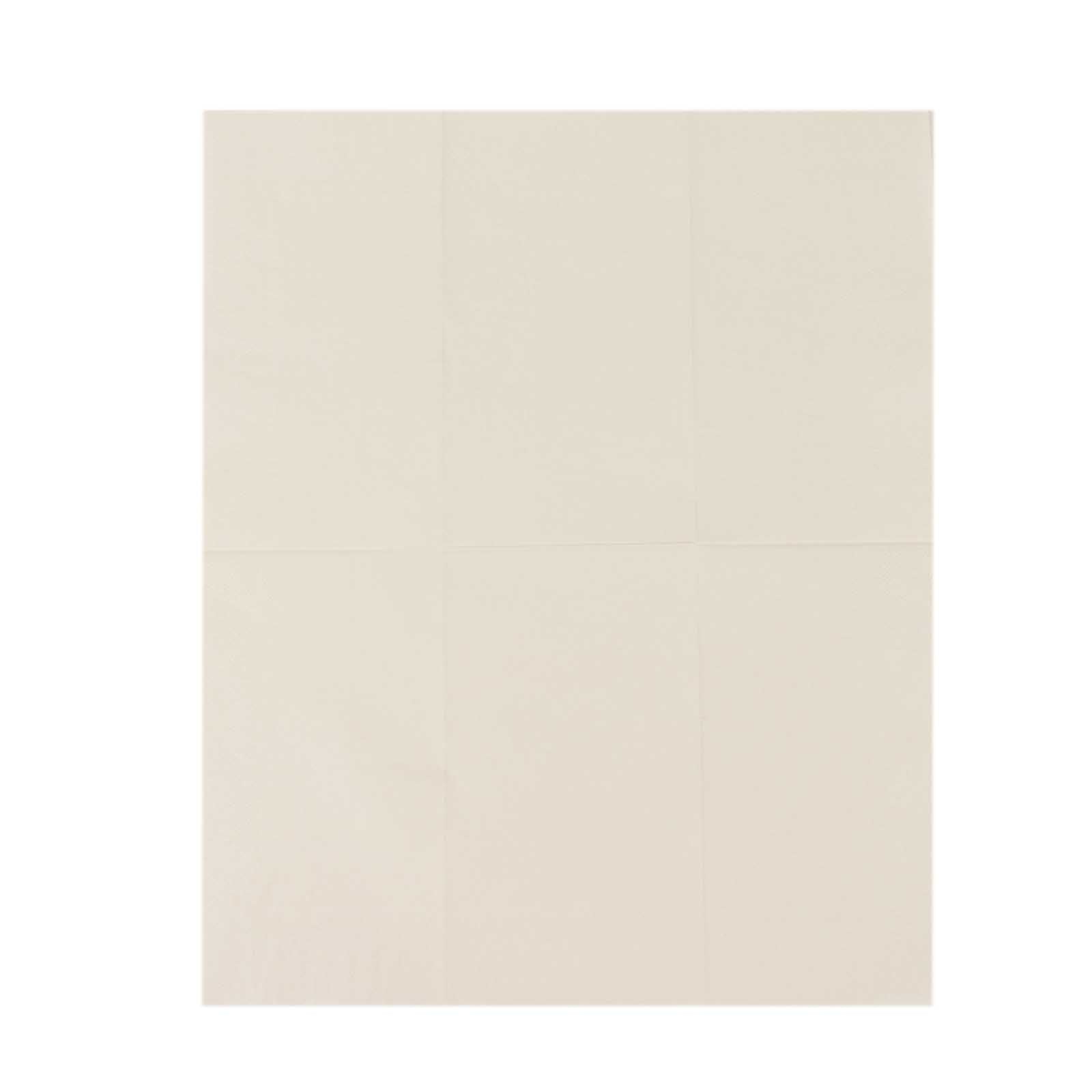 50-Pack Paper Napkins Ivory - Soft Disposable 2-Ply Dinner Napkins for Weddings