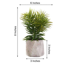 3-Pack Crassula Artificial Succulents in Geometric Ceramic Pot - Lifelike Decorative Faux Plants for Home Office & Event Design 8"