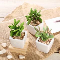 3-Pack Mini Jade Artificial Succulents in Ceramic Pots - Lifelike Decorative Faux Plants for Home Office & Event Design 3"