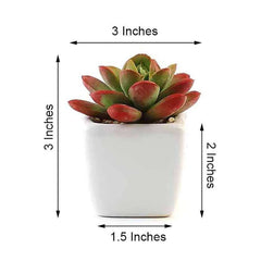 3-Pack Echeveria Elegans Artificial Succulents in Ceramic Pot - Lifelike Decorative Faux Plants for Home Office & Event Design 3"