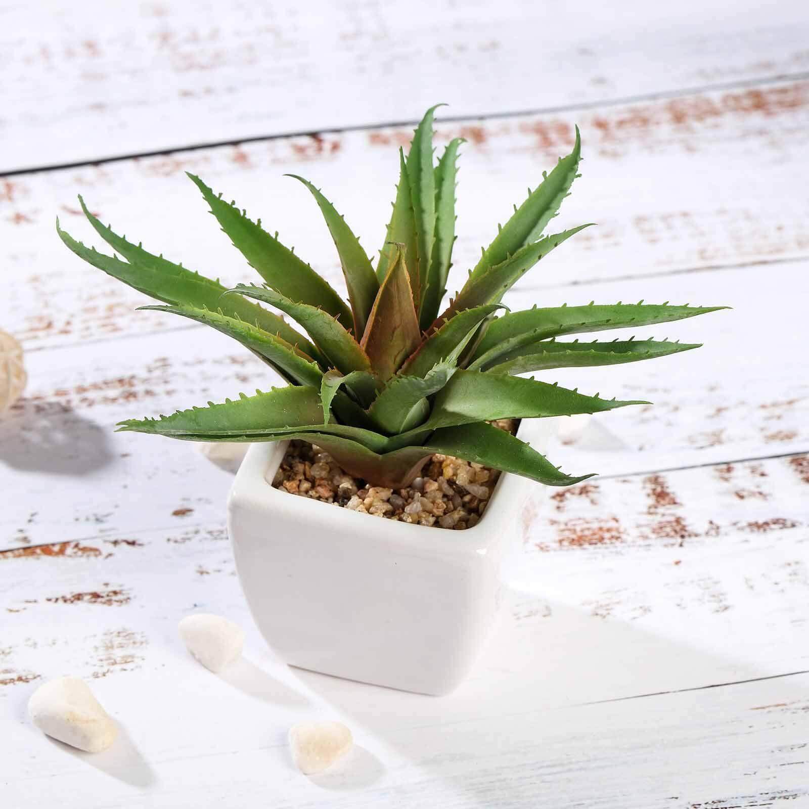 3-Pack Spotted Aloe Vera Artificial Succulents in Ceramic Pot - Lifelike Decorative Faux Plants for Home Office & Event Design 5"