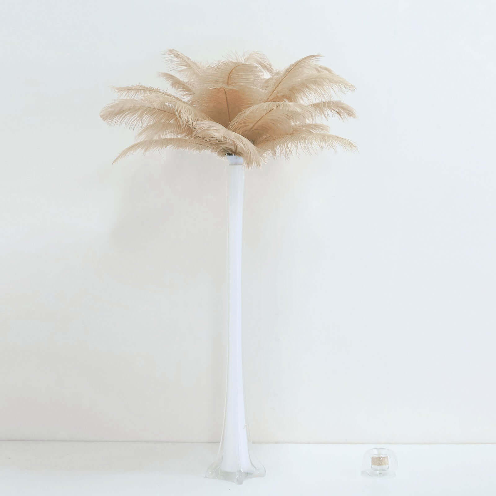 12 Pack 13"-15" Beige Natural Plume Real Ostrich Feathers, DIY Centerpiece Fillers