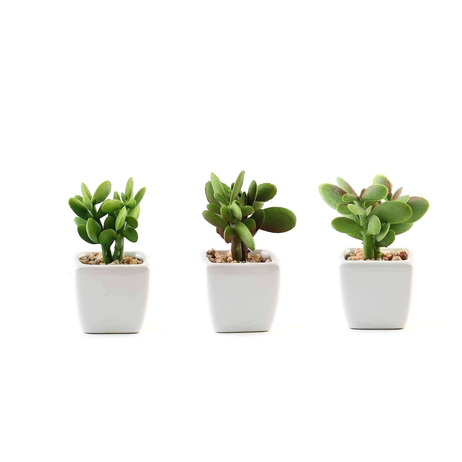 3-Pack Mini Jade Artificial Succulents in Ceramic Pots - Lifelike Decorative Faux Plants for Home Office & Event Design 3"