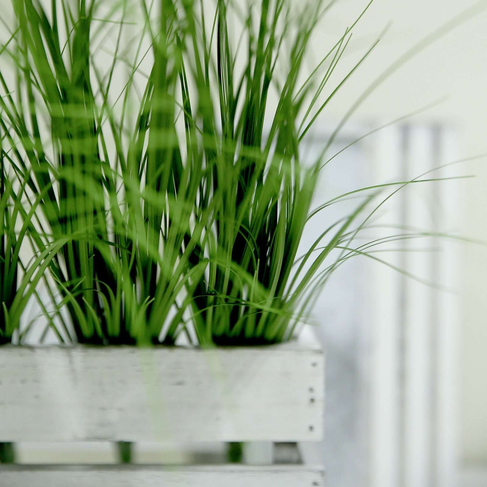 3 Plants 20" Green Artificial Indoor Outdoor Decorative Grass Sprays