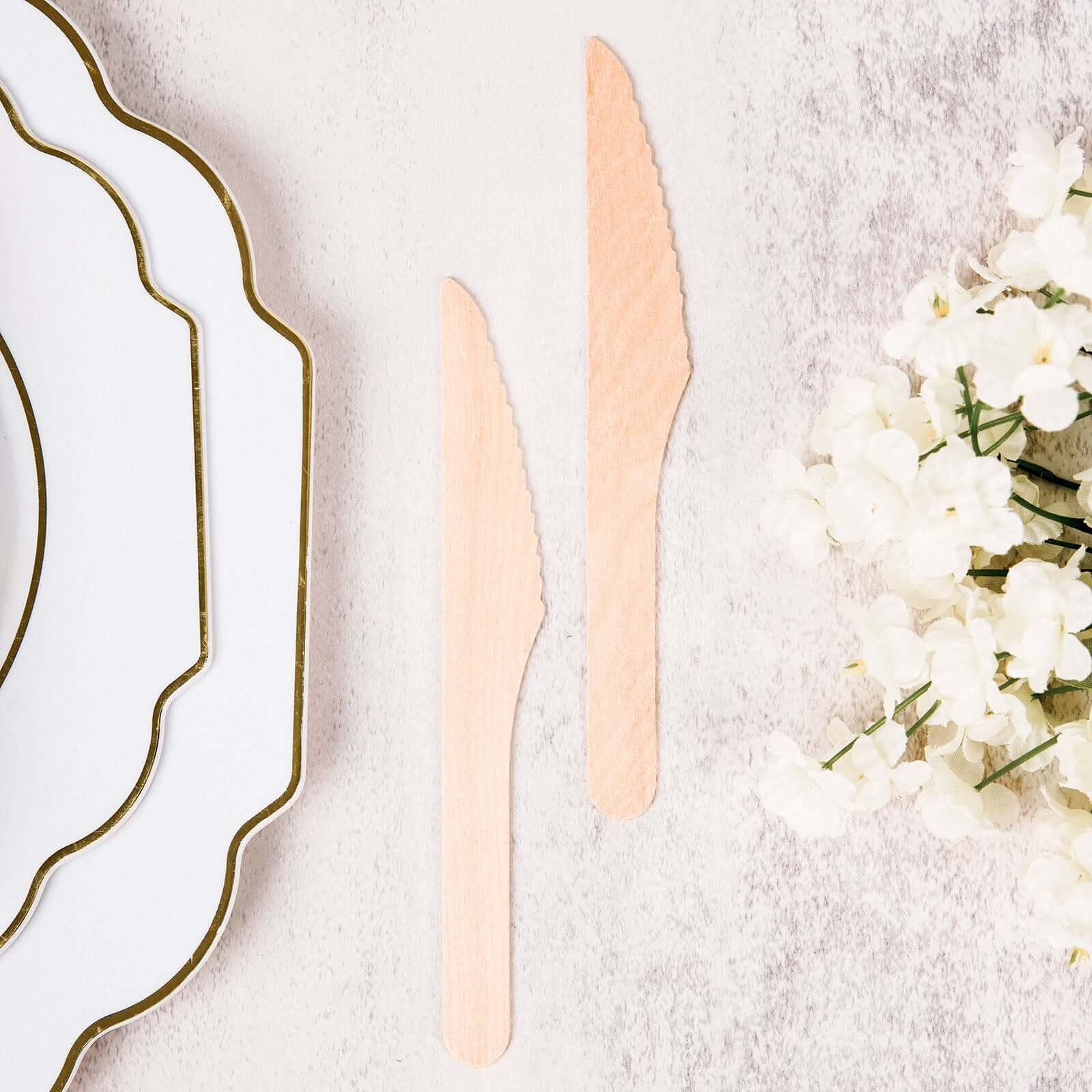 100-Pack Birchwood Knives Natural - Eco Friendly Biodegradable Wooden Utensils for Rustic Themes & Outdoor Parties 7"