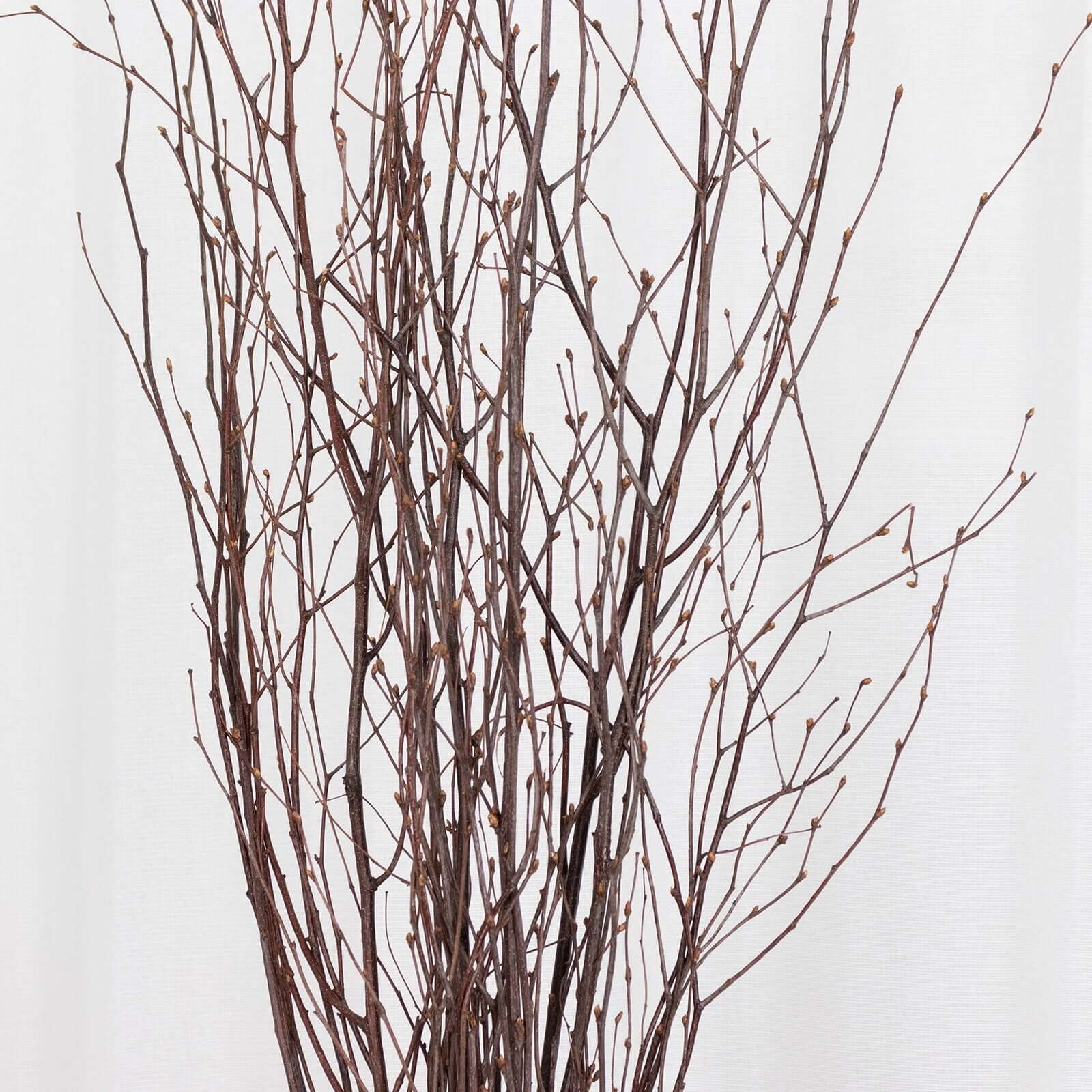 6-Pack Natural Birch Tree Branches 46" Natural - Versatile Extra Long Decorative Dried Willow Twigs Sticks for Vase Centerpiece Wedding Decor