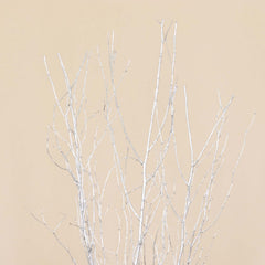 6-Pack Natural Birch Tree Branches 46" Metallic Silver - Versatile Extra Long Decorative Dried Willow Twigs Sticks for Vase Centerpiece Wedding Decor
