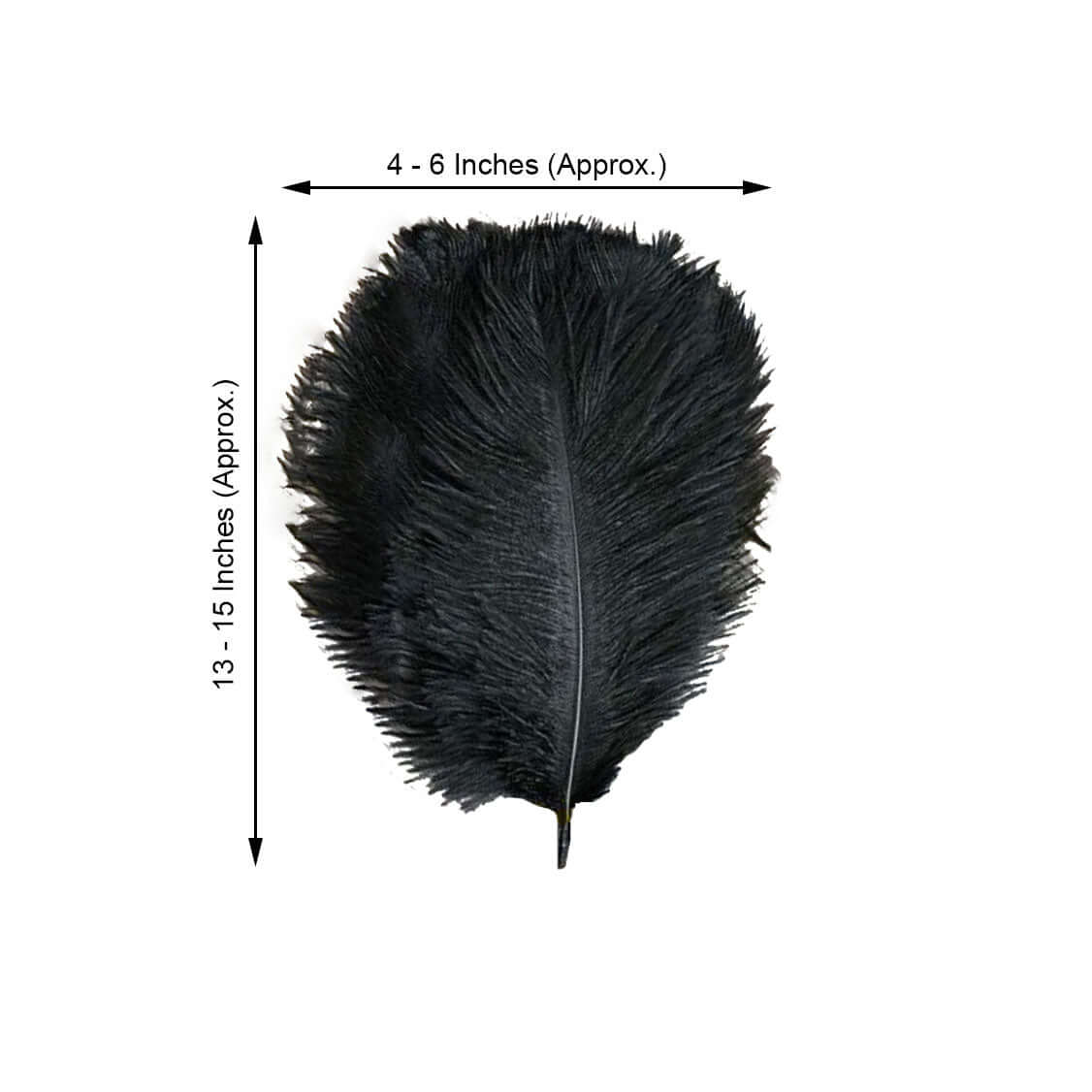 12 Pack 13"-15" Black Natural Plume Real Ostrich Feathers, DIY Centerpiece Fillers