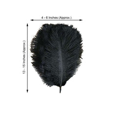12 Pack 13"-15" Black Natural Plume Real Ostrich Feathers, DIY Centerpiece Fillers