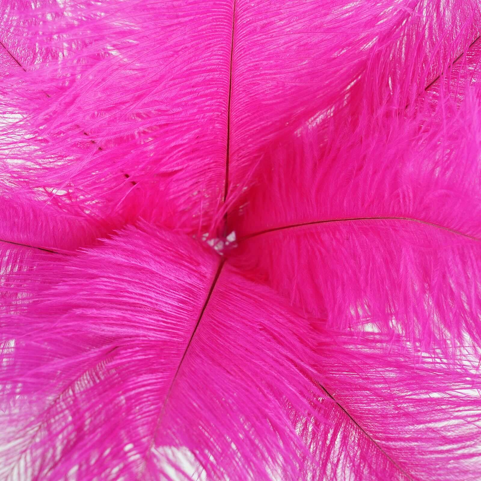 12 Pack 13"-15" Fuchsia Natural Plume Real Ostrich Feathers, DIY Centerpiece Fillers