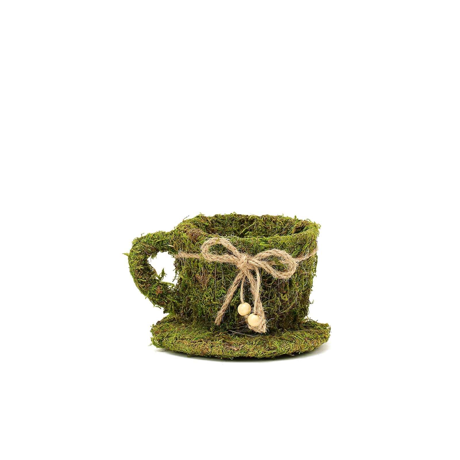 Set of 2 Teacup Shaped Planter Boxes Preserved Moss with Twine Green - Flower Basket Centerpieces 5", 4"