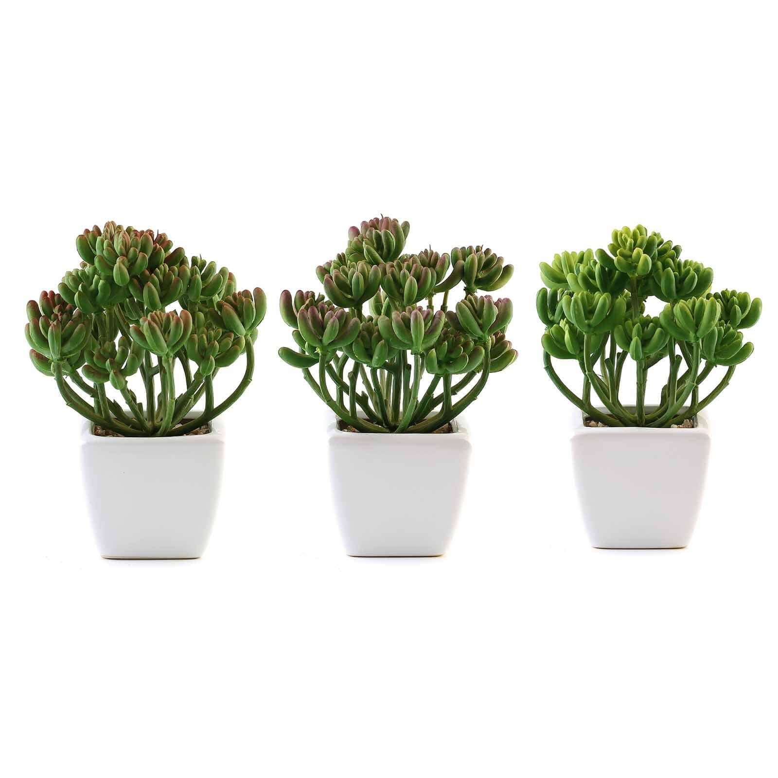3-Pack Stonecrop Artificial Succulents in Ceramic Pots - Lifelike Decorative Faux Plants for Home Office & Event Design 7"