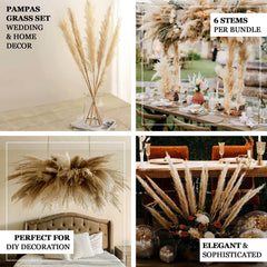 6 Stems Natural Dried Pampas Grass Decor Wheat Tint - Tall Plant Sprays for Boho Chic Vase Displays Backdrops & Event Styling 49"