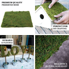 18"x16" Preserved Natural Moss Wall Sheet Roll, Moss Landscape Panel