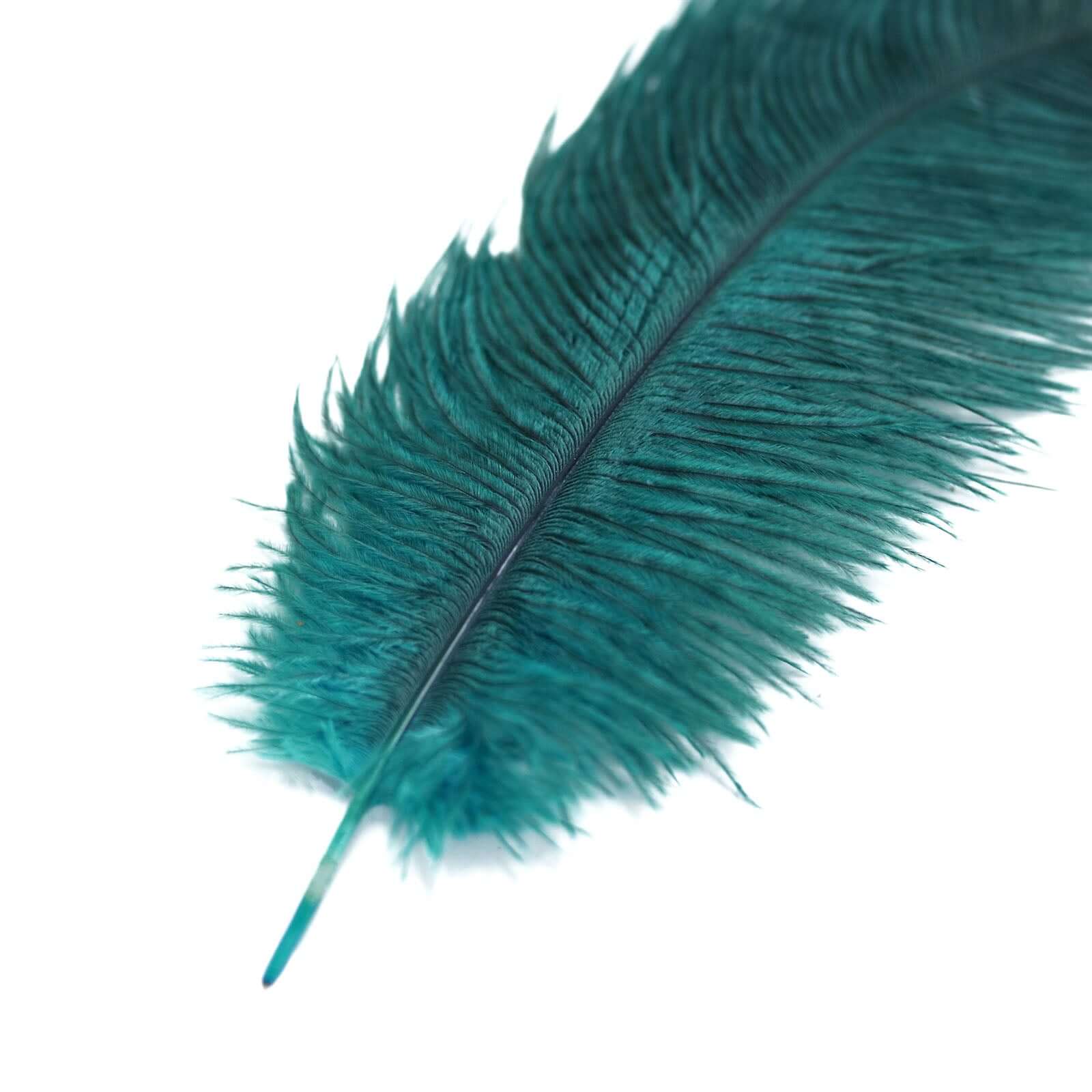 12 Pack 13"-15" Peacock Teal Natural Plume Real Ostrich Feathers, DIY Centerpiece Fillers
