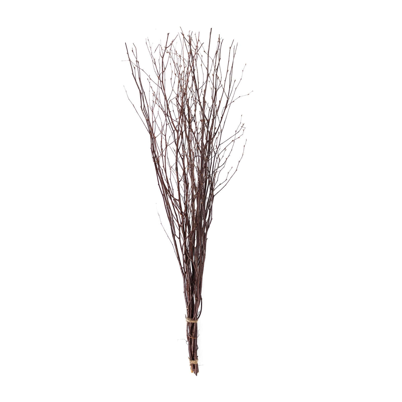 6-Pack Natural Birch Tree Branches 46" Natural - Versatile Extra Long Decorative Dried Willow Twigs Sticks for Vase Centerpiece Wedding Decor
