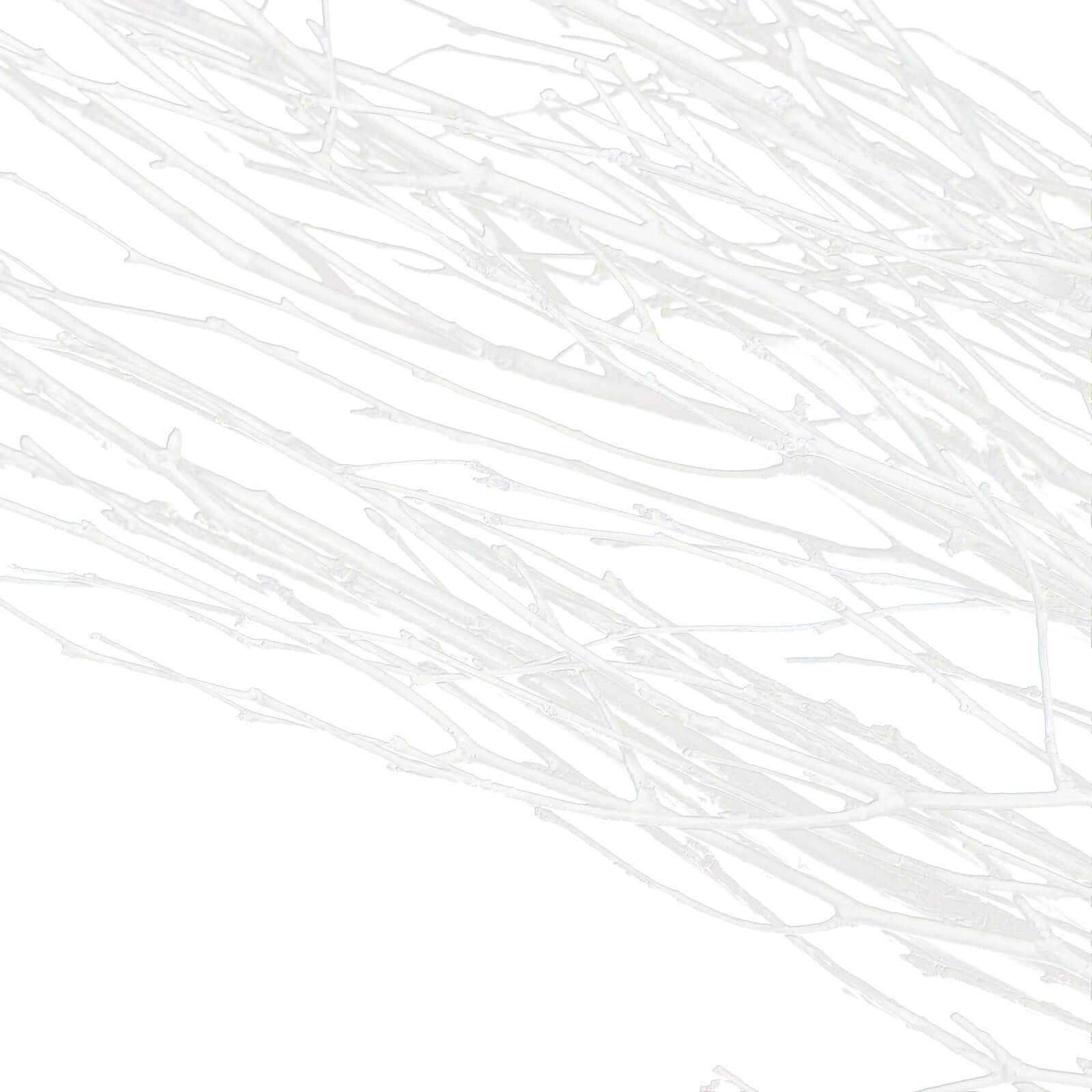 6-Pack Natural Birch Tree Branches 46" White - Versatile Extra Long Decorative Dried Willow Twigs Sticks for Vase Centerpiece Wedding Decor