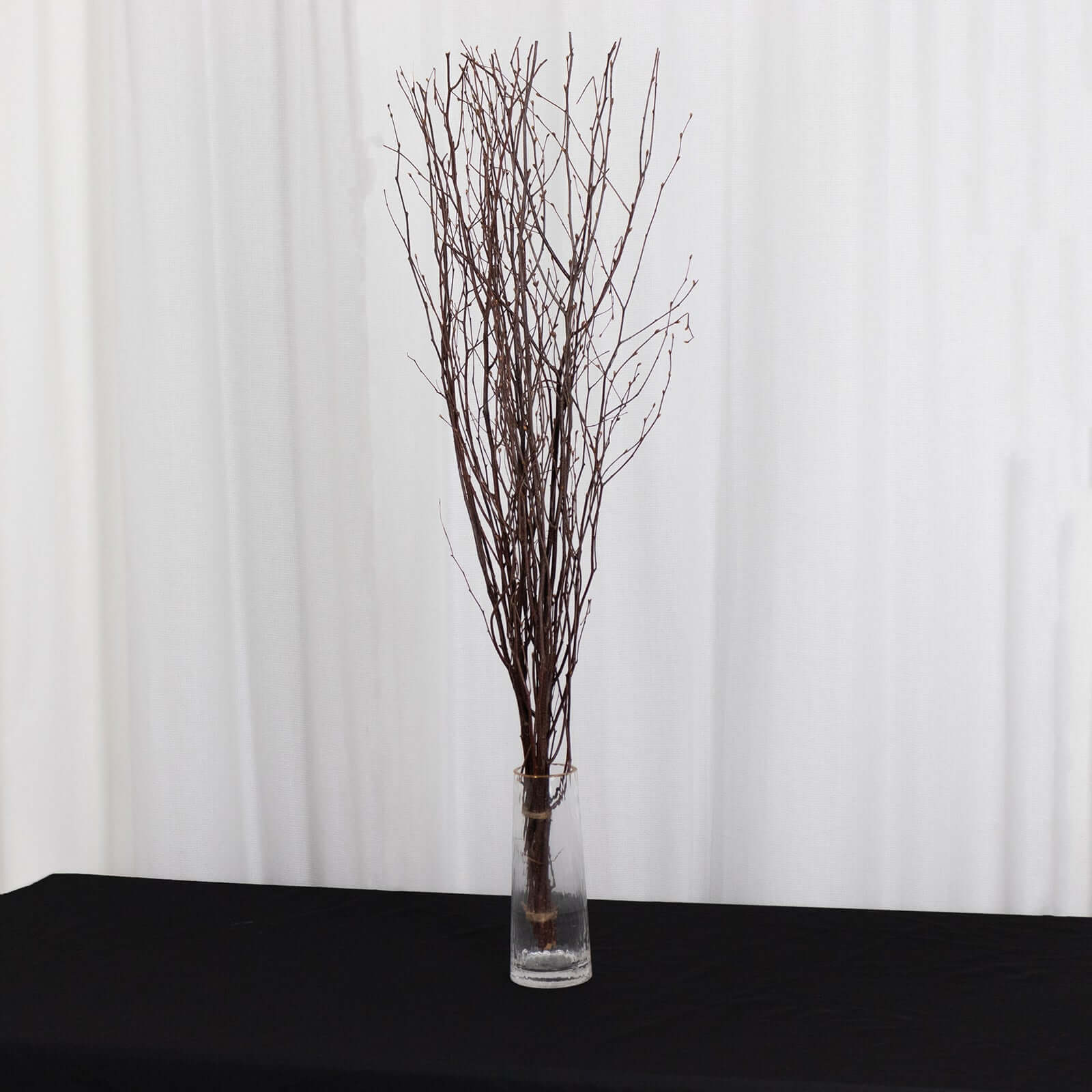 6-Pack Natural Birch Tree Branches 46" Natural - Versatile Extra Long Decorative Dried Willow Twigs Sticks for Vase Centerpiece Wedding Decor