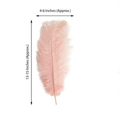 12 Pack 13"-15" Rose Gold Natural Plume Real Ostrich Feathers, DIY Centerpiece Fillers