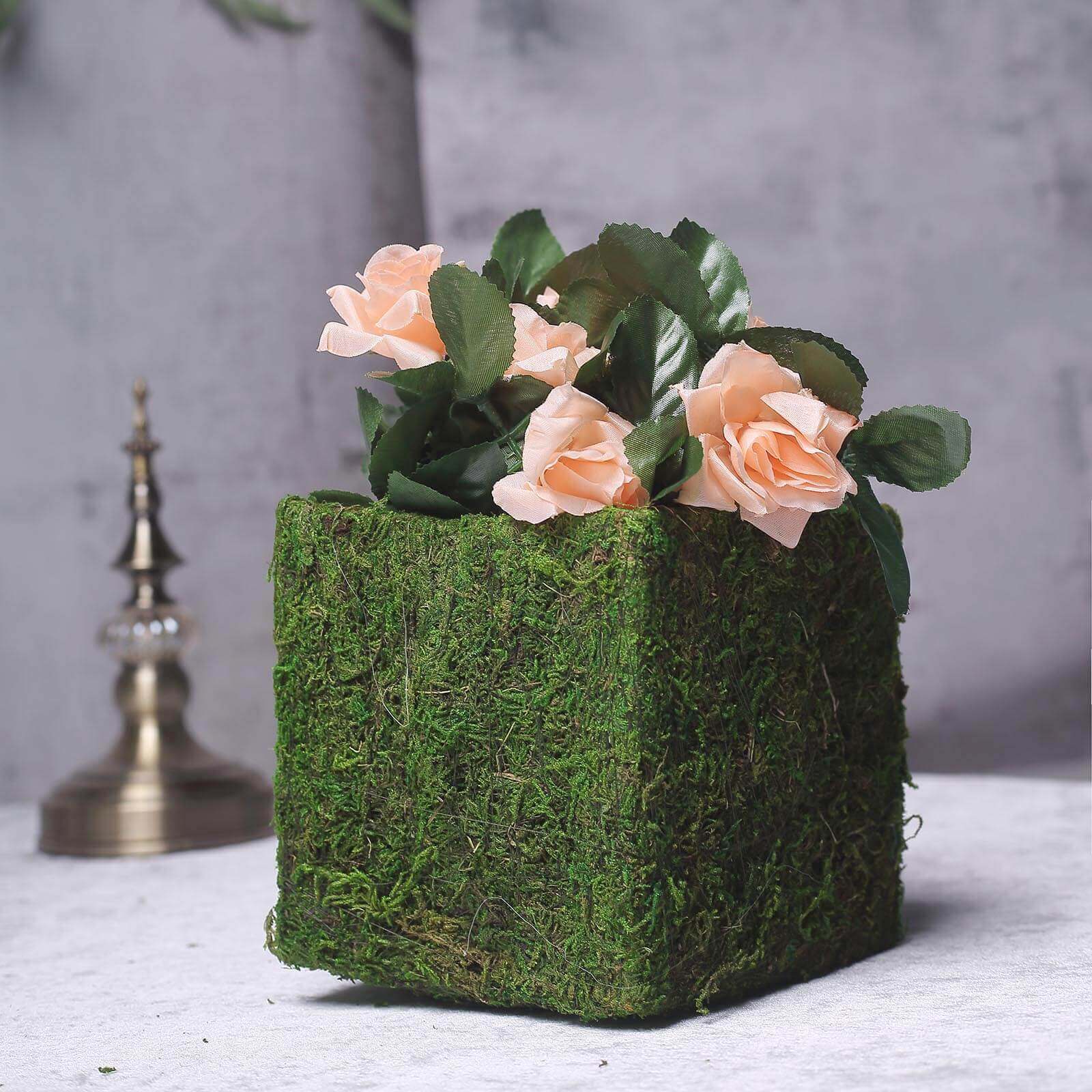 4-Pack Square Planter Boxes Covered with Inner Lining Green Preserved Moss - Flower Basket Centerpieces 6"