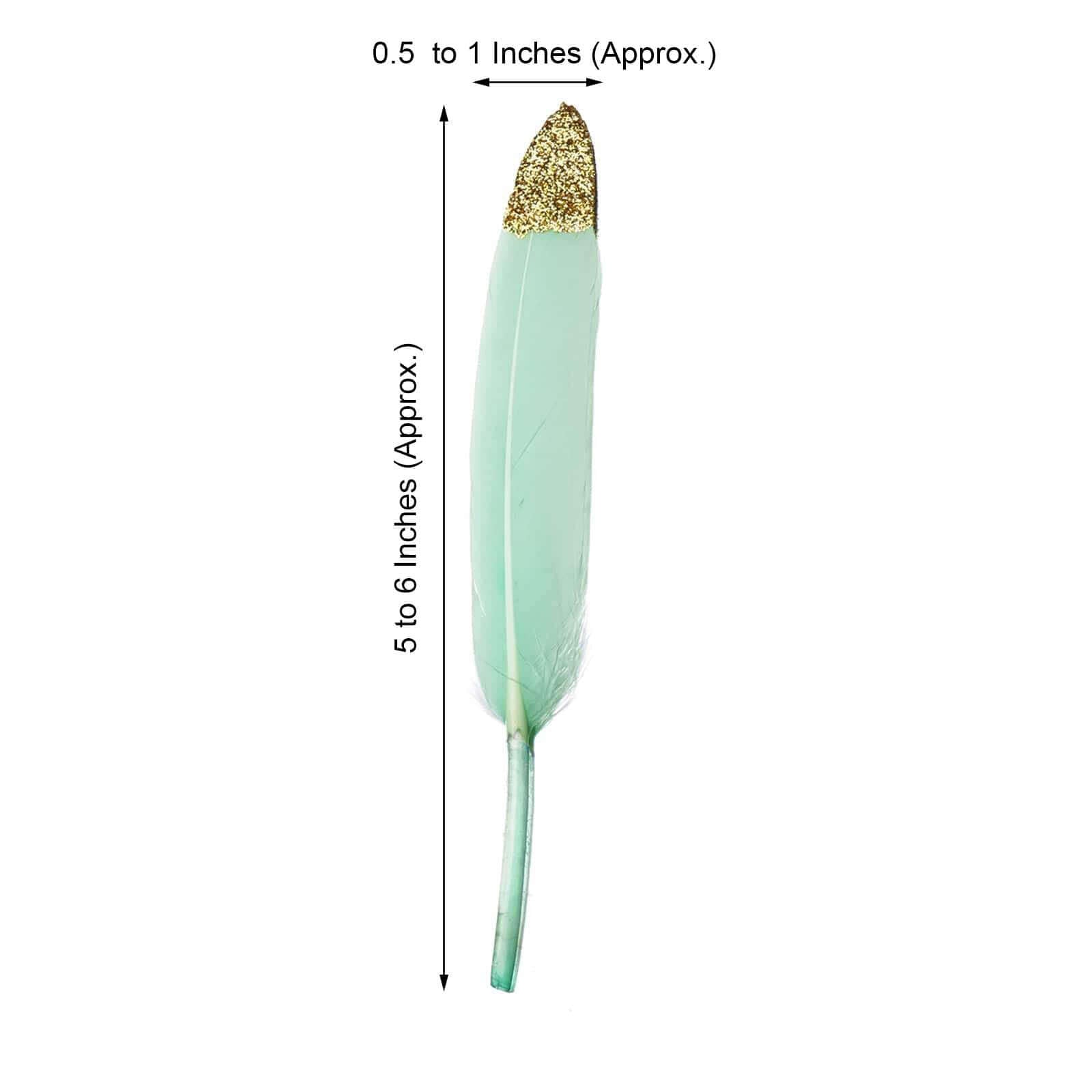 30-Pack Turkey Feathers Craft Feathers Glitter Gold Tip Mint - Decorative Feathers for DIY Party Projects