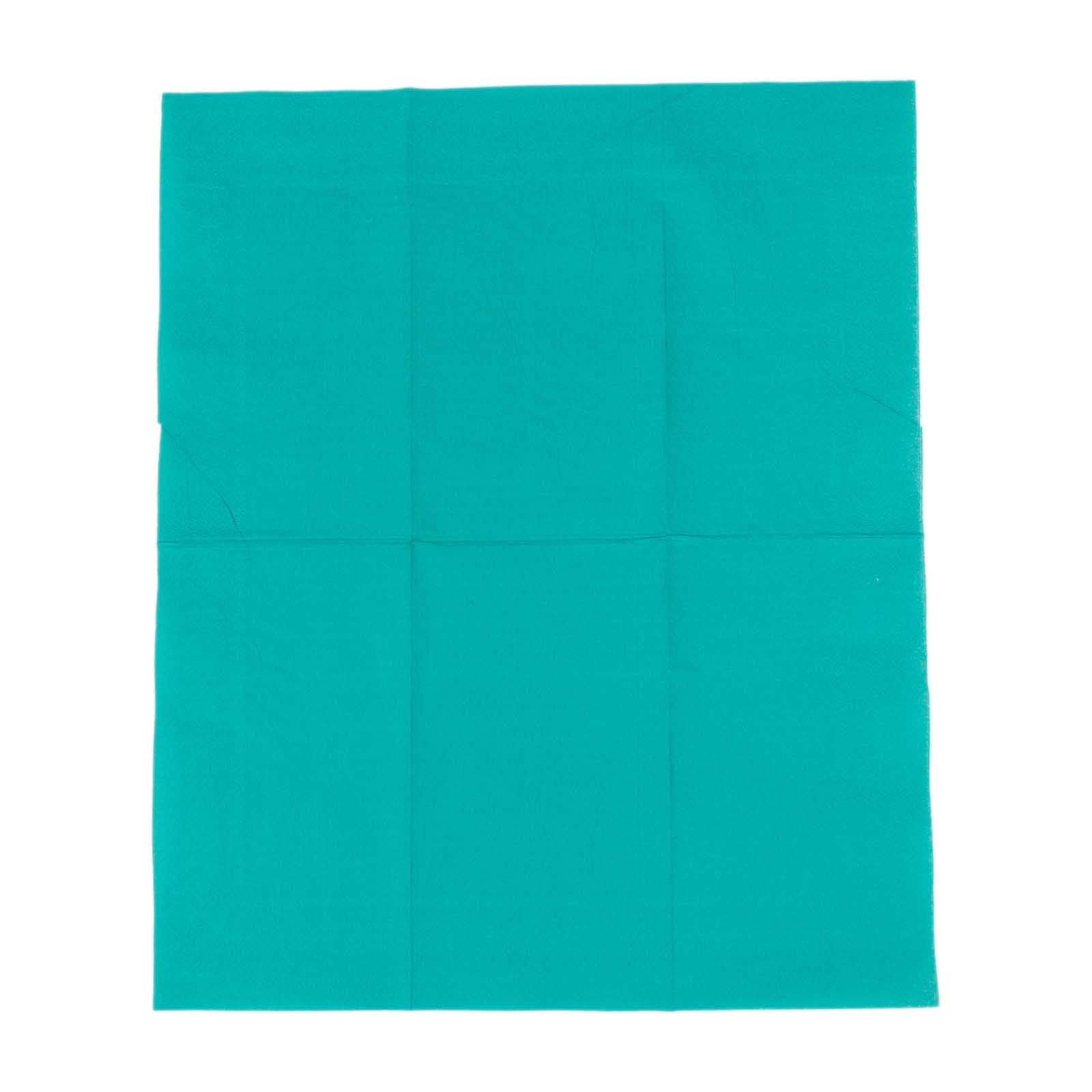 50-Pack Paper Napkins Turquoise - Soft Disposable 2-Ply Dinner Napkins for Weddings