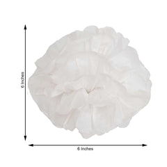 6 Pack 6" White Tissue Paper Pom Poms Flower Balls, Ceiling Wall Hanging Decorations