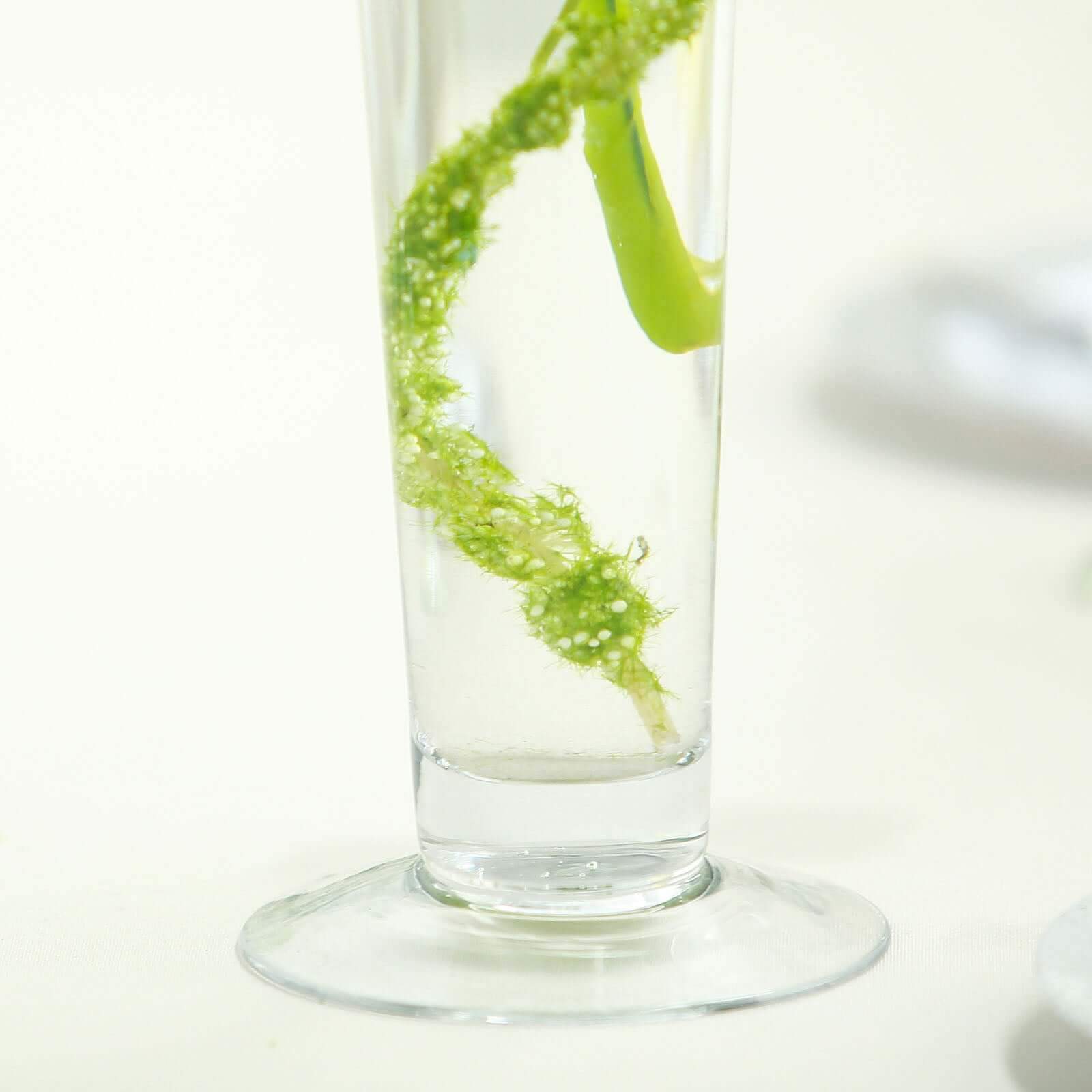 6-Pack Glass Trumpet Vases Clear - Durable Design for Chic Event Displays 24"