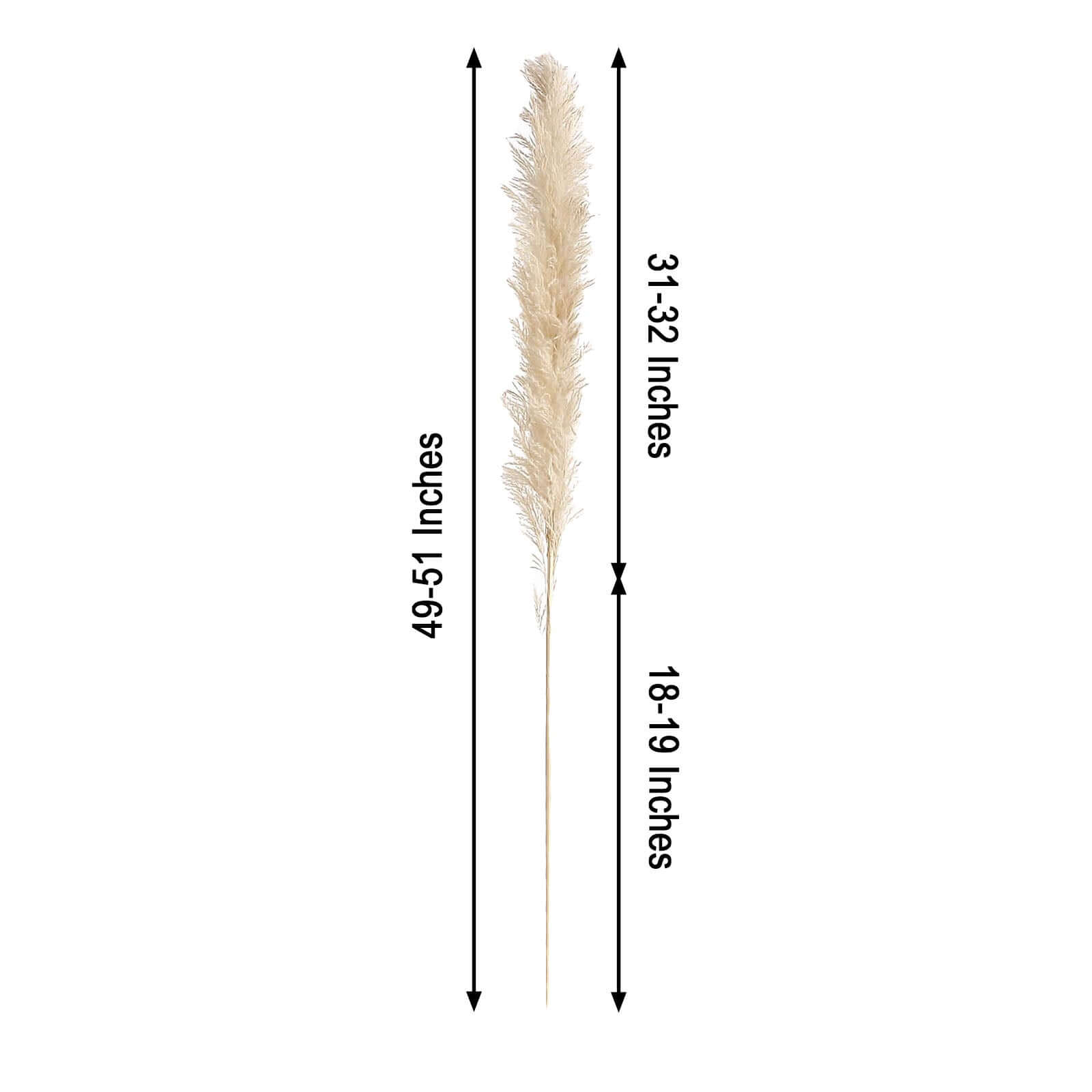 6 Stems Natural Dried Pampas Grass Decor Wheat Tint - Tall Plant Sprays for Boho Chic Vase Displays Backdrops & Event Styling 49"