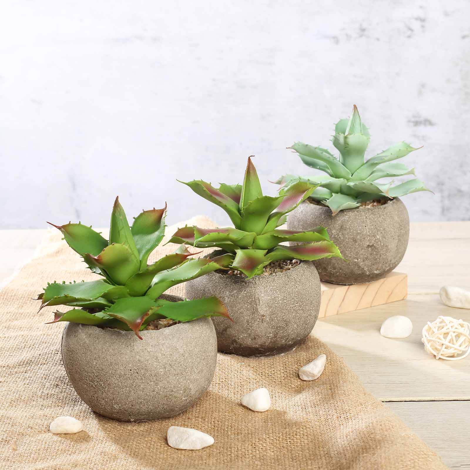 3-Pack Aloe Artificial Succulents in Ceramic Pot - Lifelike Decorative Faux Plants for Home Office & Event Design 5"