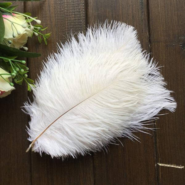 12 Pack 13"-15" White Natural Plume Real Ostrich Feathers, DIY Centerpiece Fillers