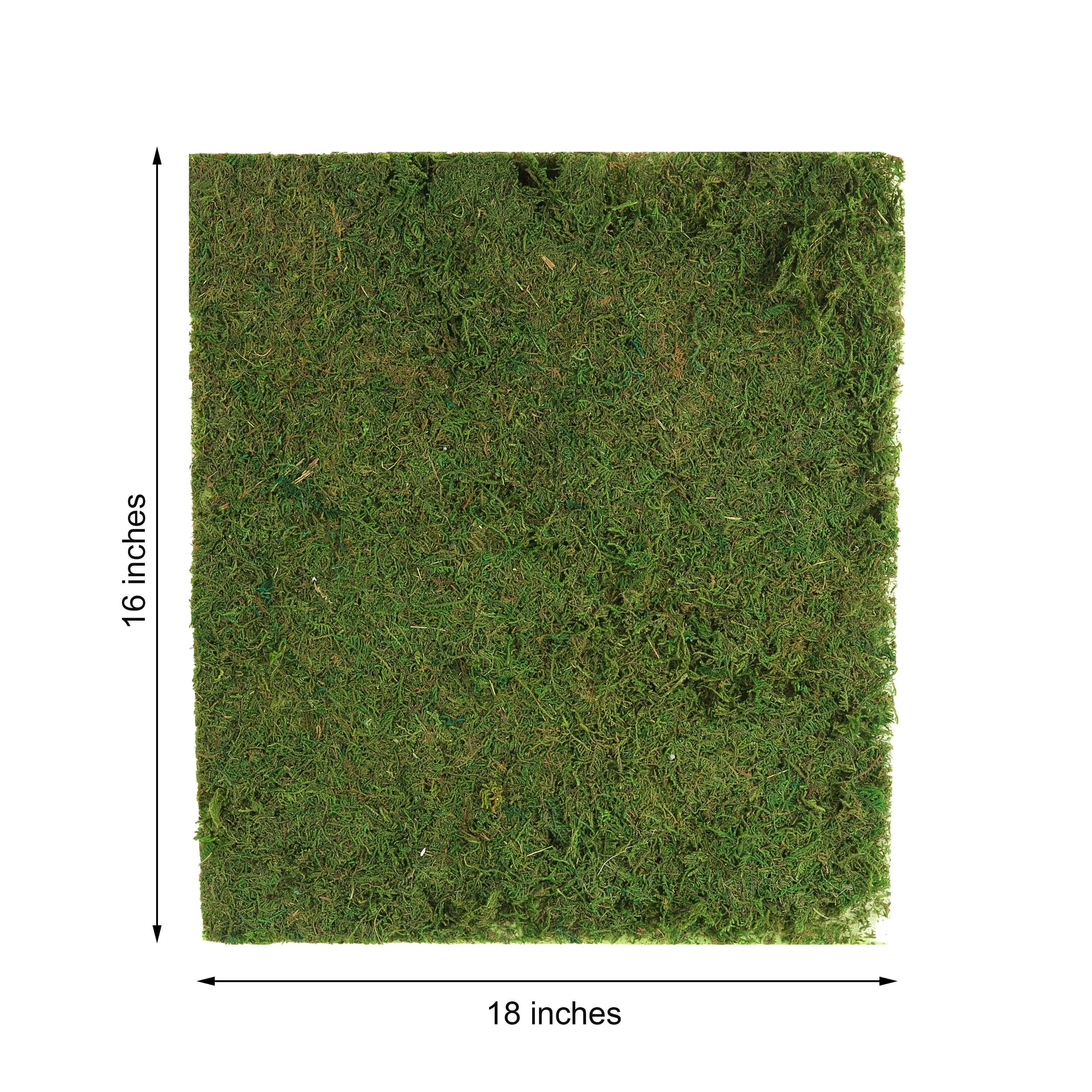 18"x16" Preserved Natural Moss Wall Sheet Roll, Moss Landscape Panel