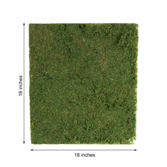 18"x16" Preserved Natural Moss Wall Sheet Roll, Moss Landscape Panel