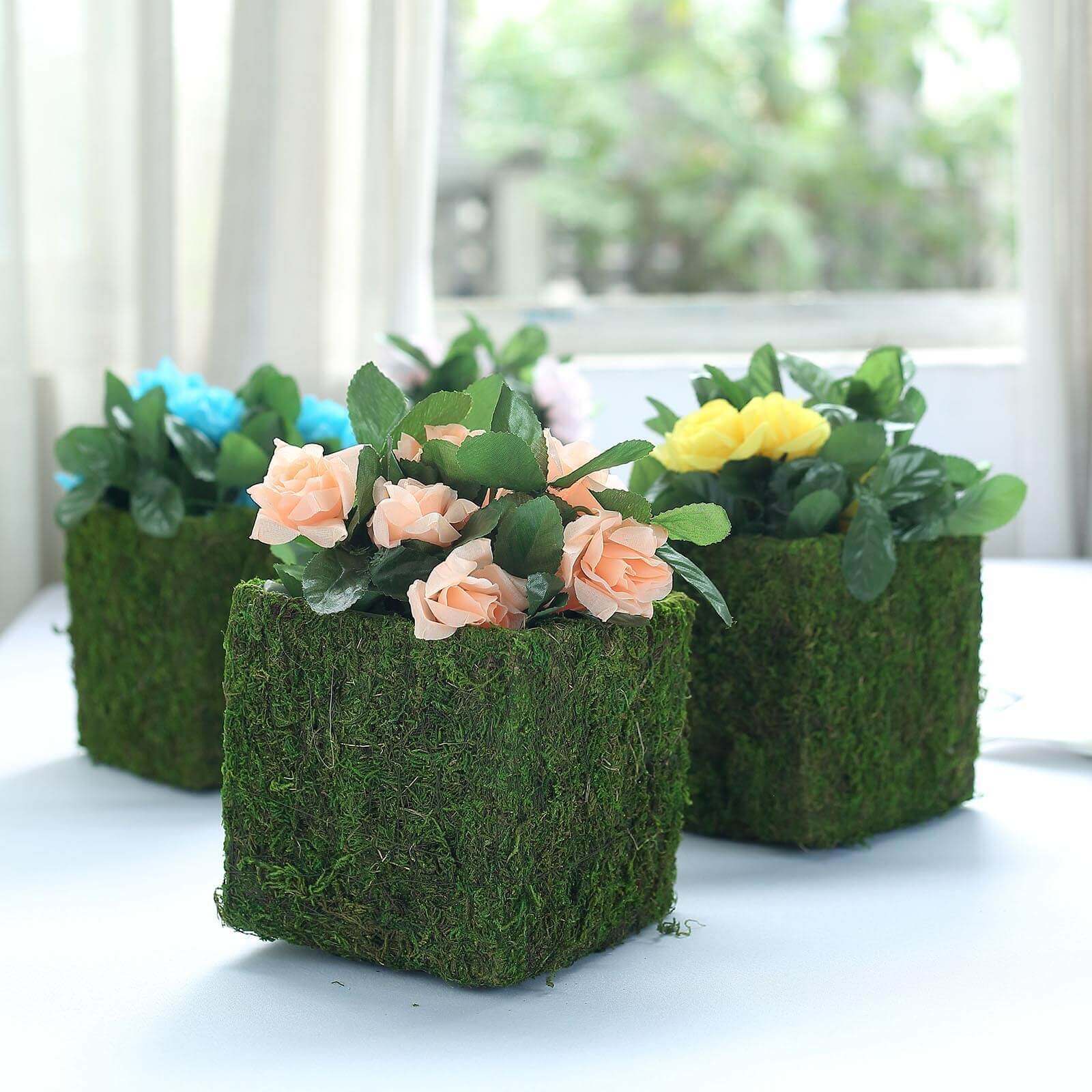 4-Pack Square Planter Boxes Covered with Inner Lining Green Preserved Moss - Flower Basket Centerpieces 6"