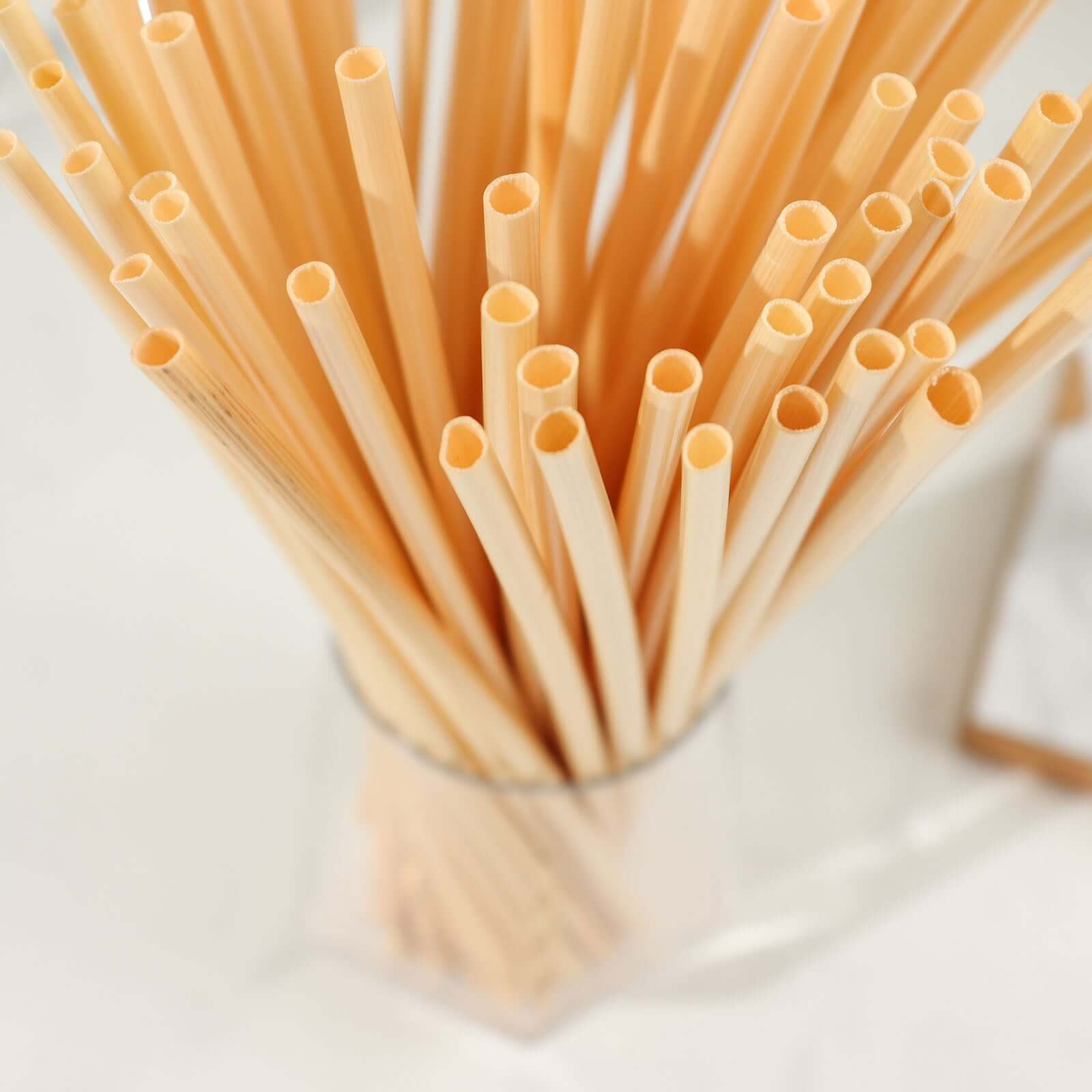 100-Pack Compostable Straws Plant Based 100% Plastic Free - Sustainable Biodegradable Wheat Straws 9"