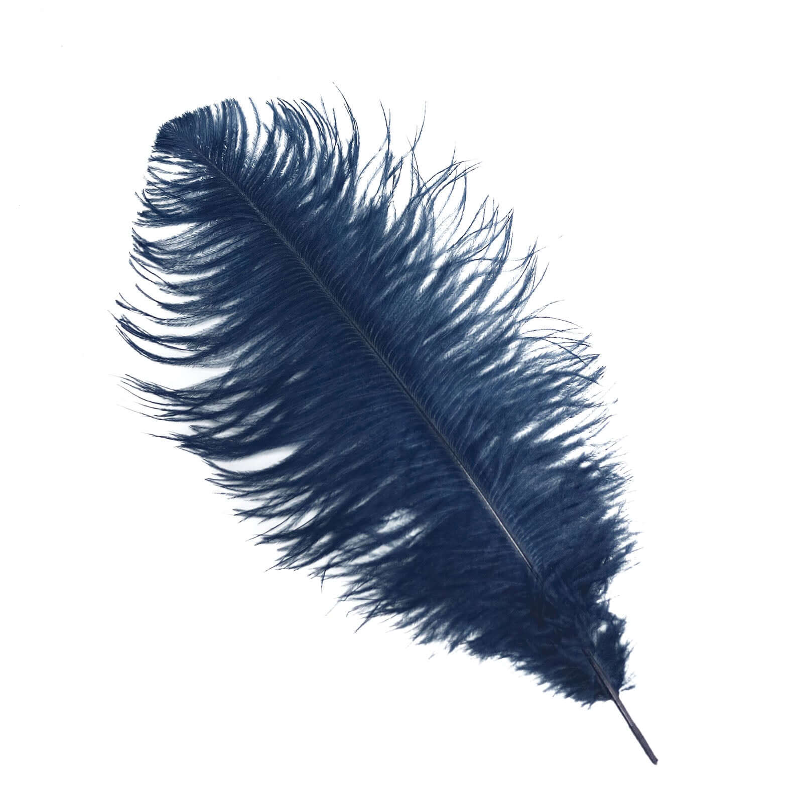 12 Pack 13"-15" Navy Blue Natural Plume Real Ostrich Feathers, DIY Centerpiece Fillers