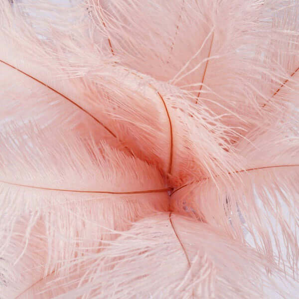 12 Pack 13"-15" Rose Gold Natural Plume Real Ostrich Feathers, DIY Centerpiece Fillers
